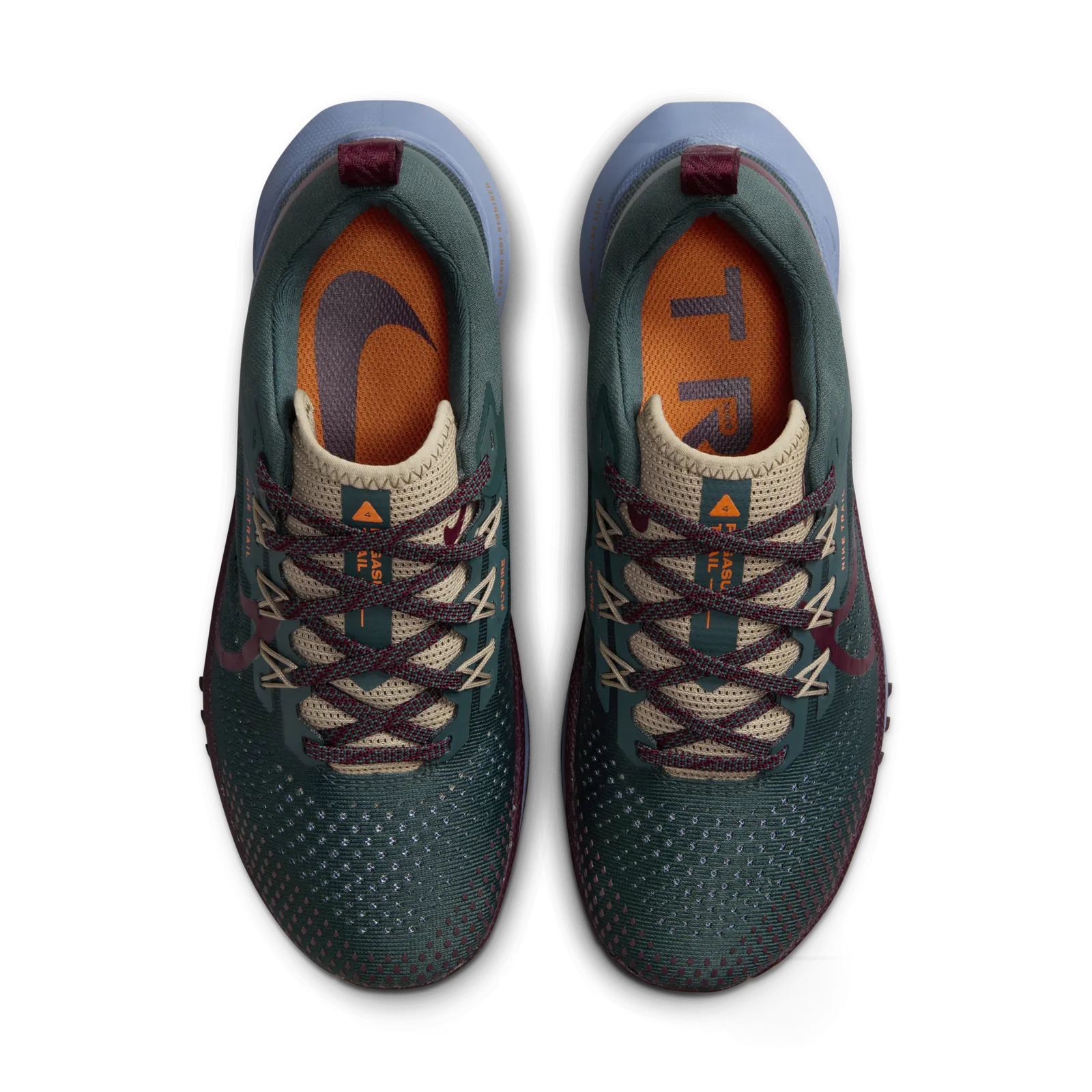 Nike Pegasus Trail 4 DJ6159-301